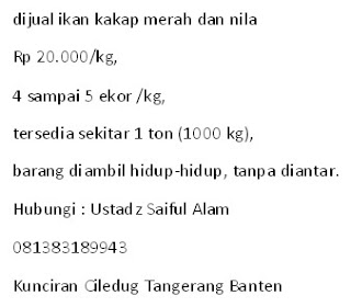 jual ikan nila merah dengan kolam terpal
