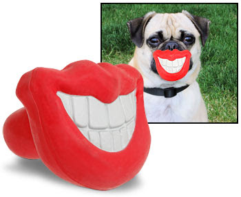 Toy Smile