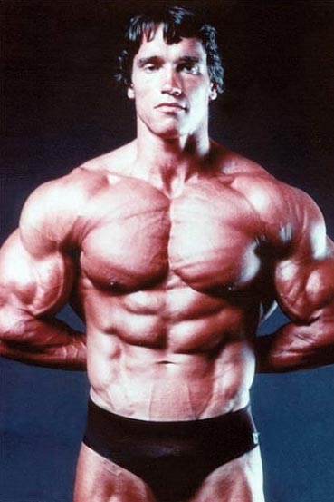 arnold schwarzenegger workout pictures. arnold schwarzenegger workout