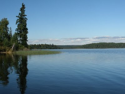 island in Pipestone Bay
