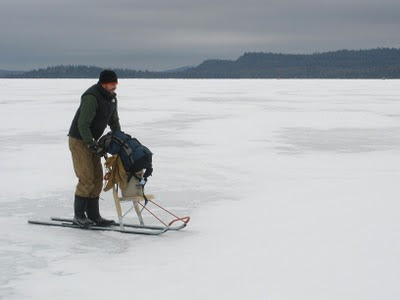 Josh Baughman on kicksled, Whitefish Lake, Ontario