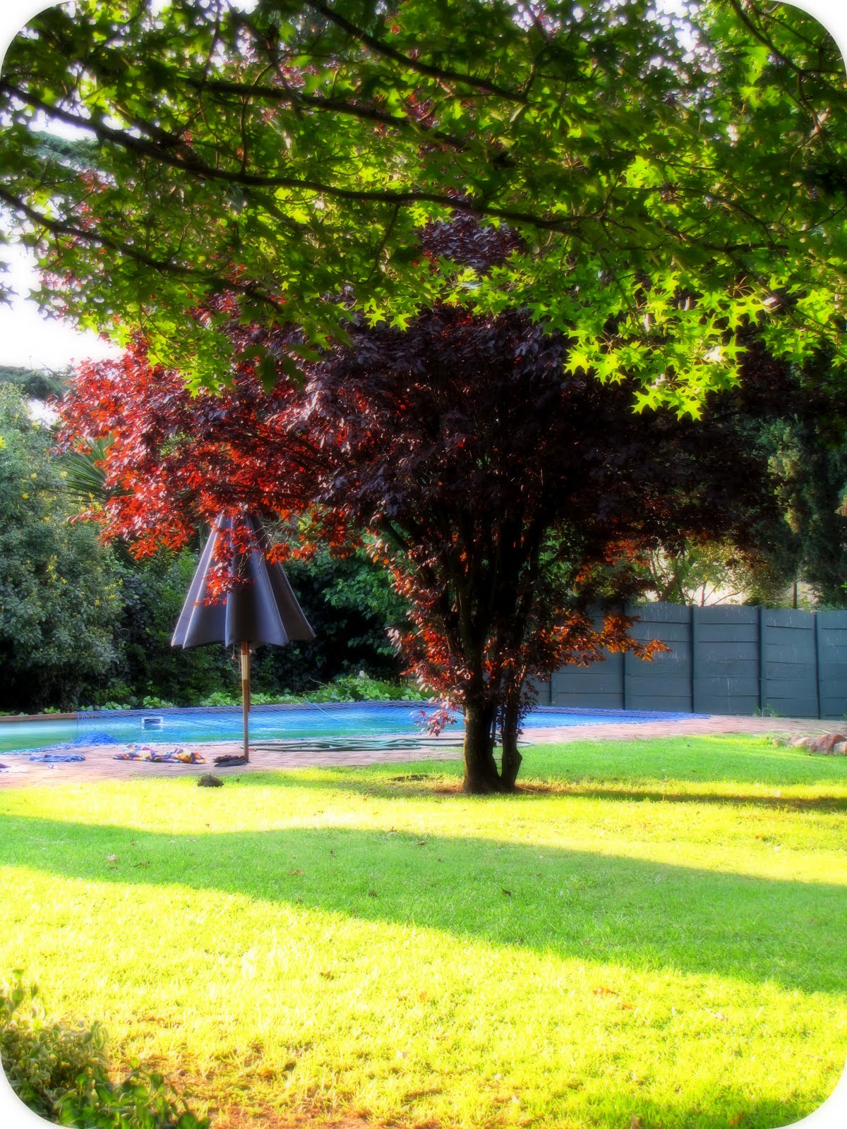 [IMG_4314_picnik.jpg]