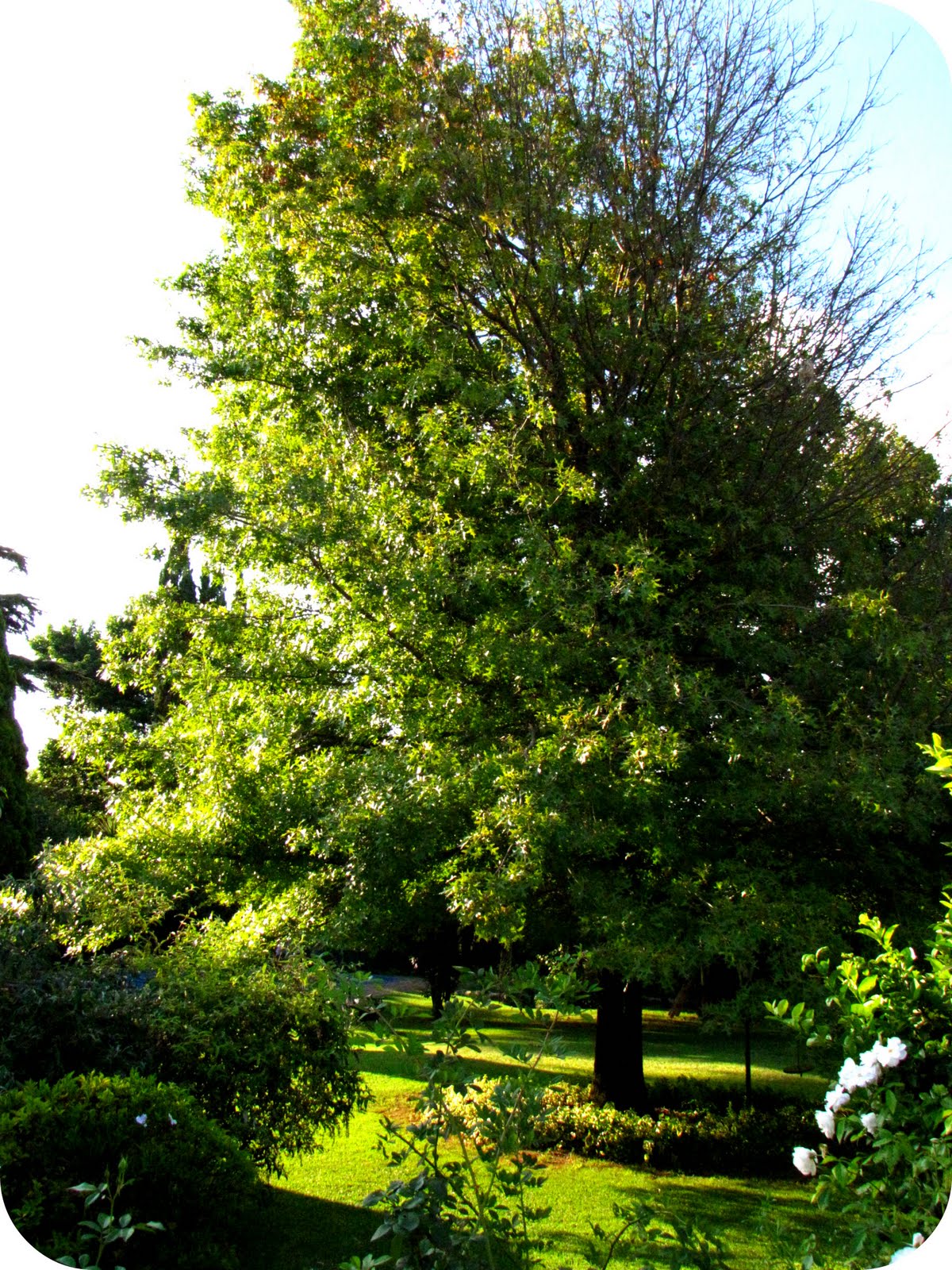 [IMG_4720_picnik.jpg]