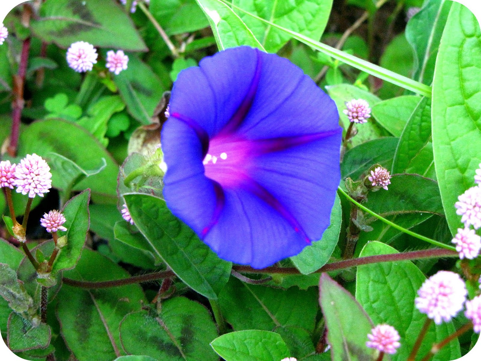 [IMG_4669.jpg]
