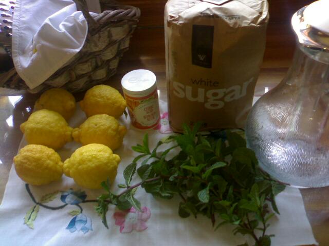 [Lemon+Cordial.jpg]