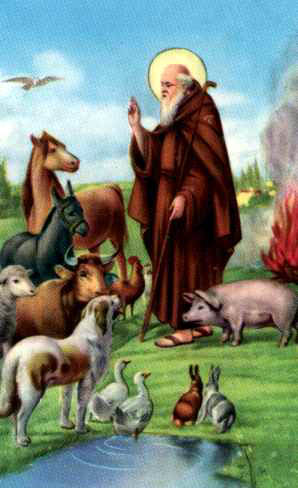 http://4.bp.blogspot.com/_UTpVZQzBV6Y/SXEu2oaCL7I/AAAAAAAAAUM/4fcnzTY2rms/s1600/ABATE.JPG
