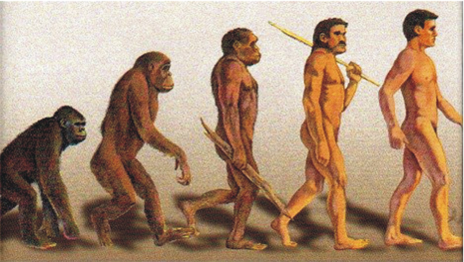 lourdes-nuestroorigen....En tiempos de Darwin
