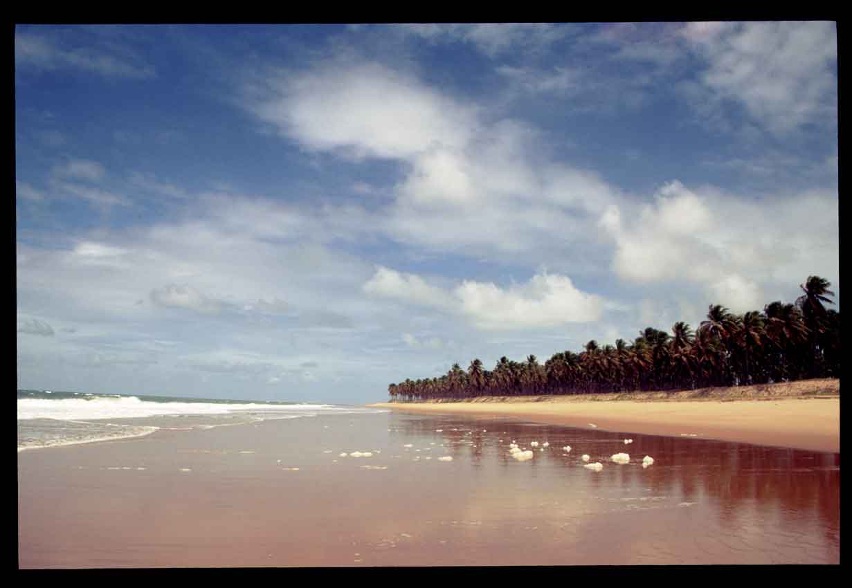 http://4.bp.blogspot.com/_UTsib27PF2s/TLJCaj81XtI/AAAAAAAABdQ/L-9yle8vXhI/s1600/praia-do-forte967.jpg