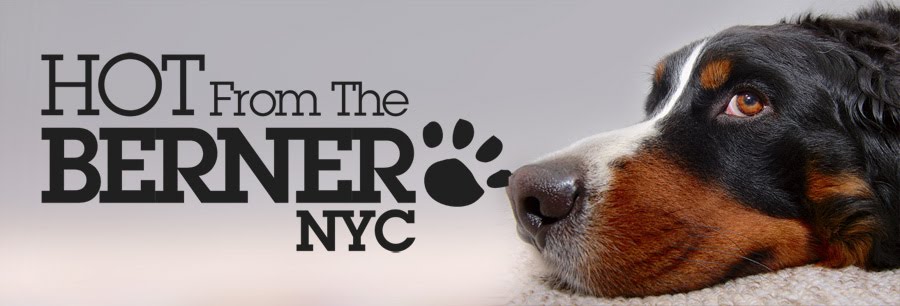 Hot From The Berner NYC