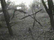 THE BLAIR WITCH PROYECT