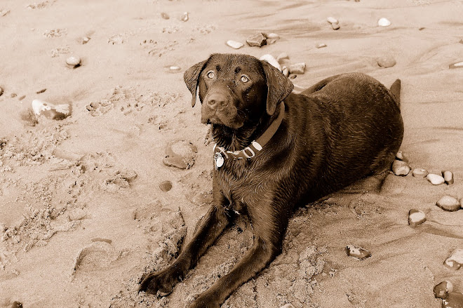 Waiting for Seth to Come Home