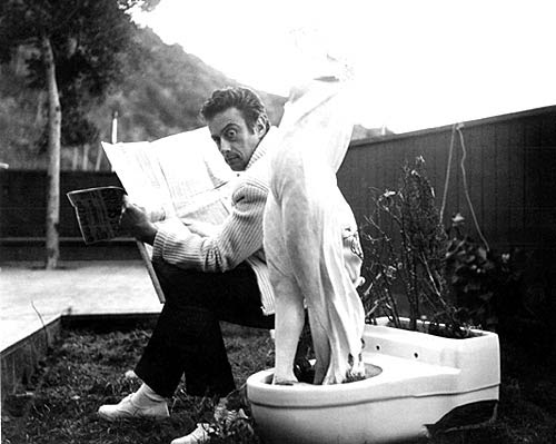 tabloid baby: Lenny Bruce memorabilia up for bid