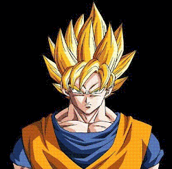 FaSeS De gOkU