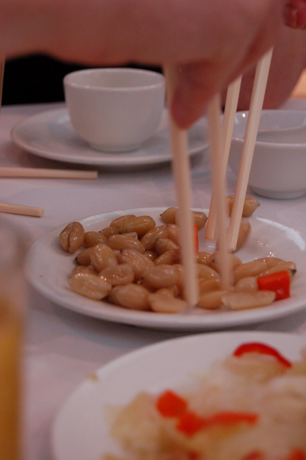 [DSC_0005.JPG]