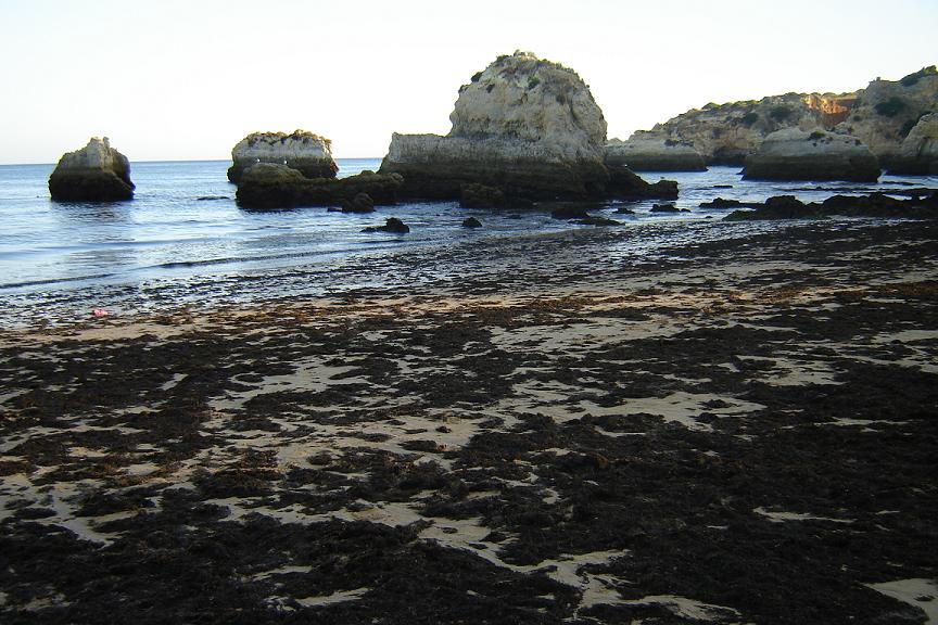 [DSC03465.JPG]