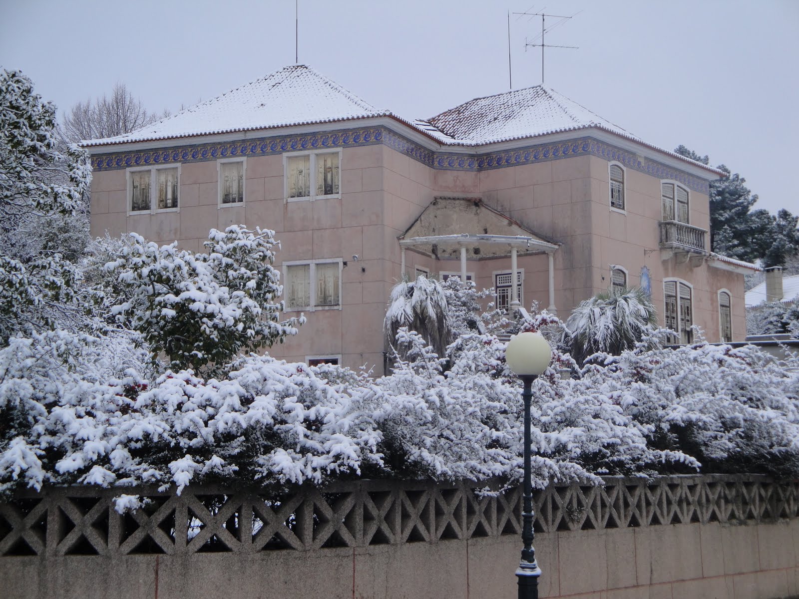 [DSC01425.JPG]