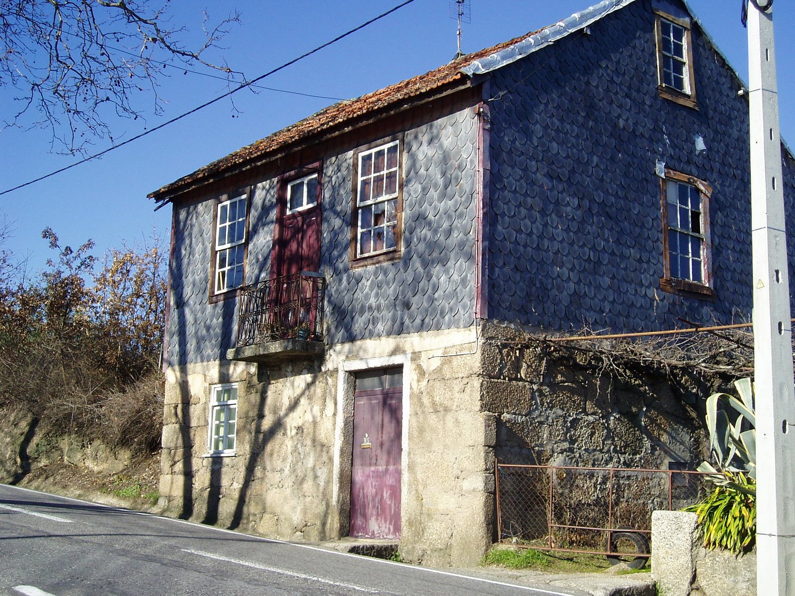 [P1120024.JPG]
