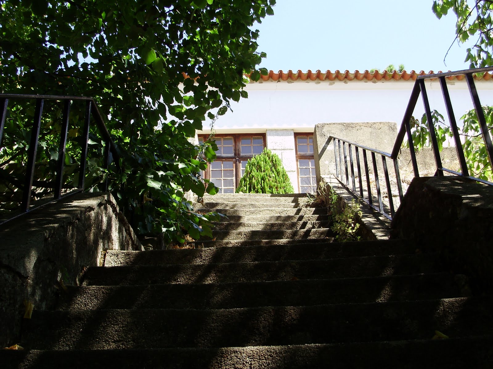 [P8290007.JPG]