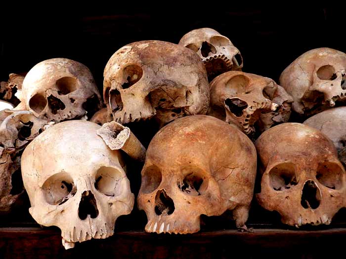 [Skulls.jpg]