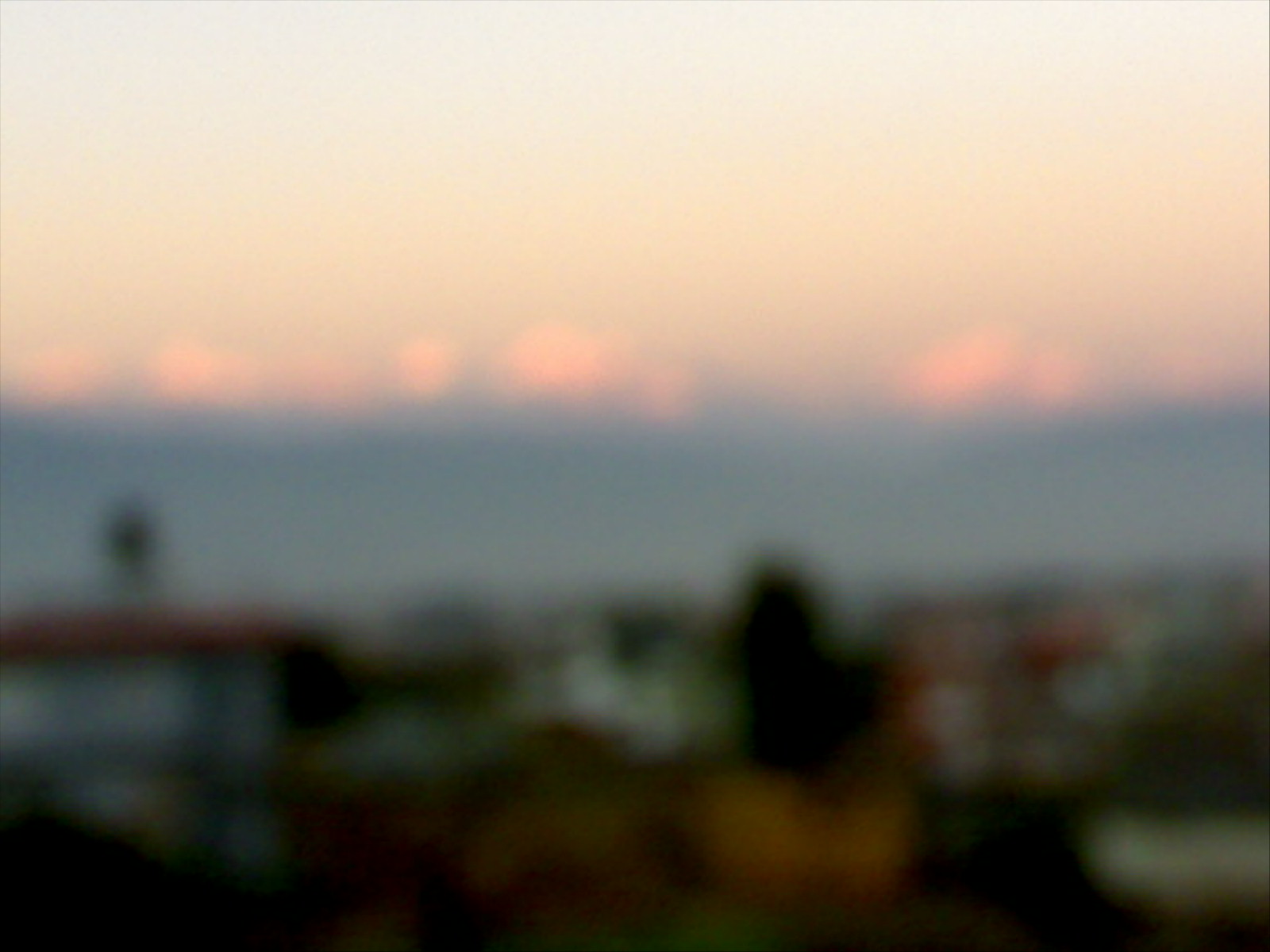 [DSC00057.JPG]