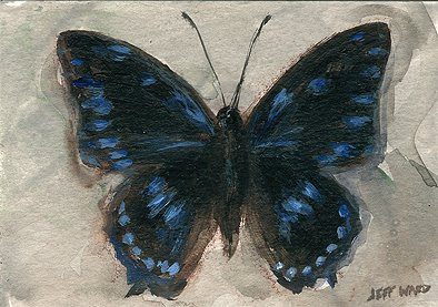 Butterfly Dark