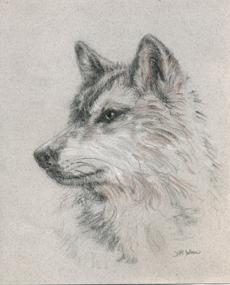 charcoal, white charcoal, and Venetian red pencil on toned paper charcoal, white charcoal, and Venetian red pencil on toned paper