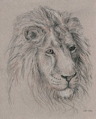 Lion Face Sketch