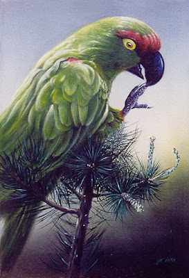 parrot painting
