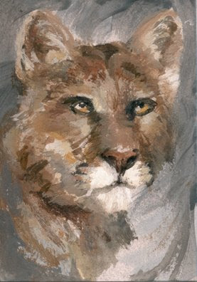 cougar painting aceo