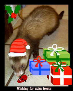 ferret christmas card