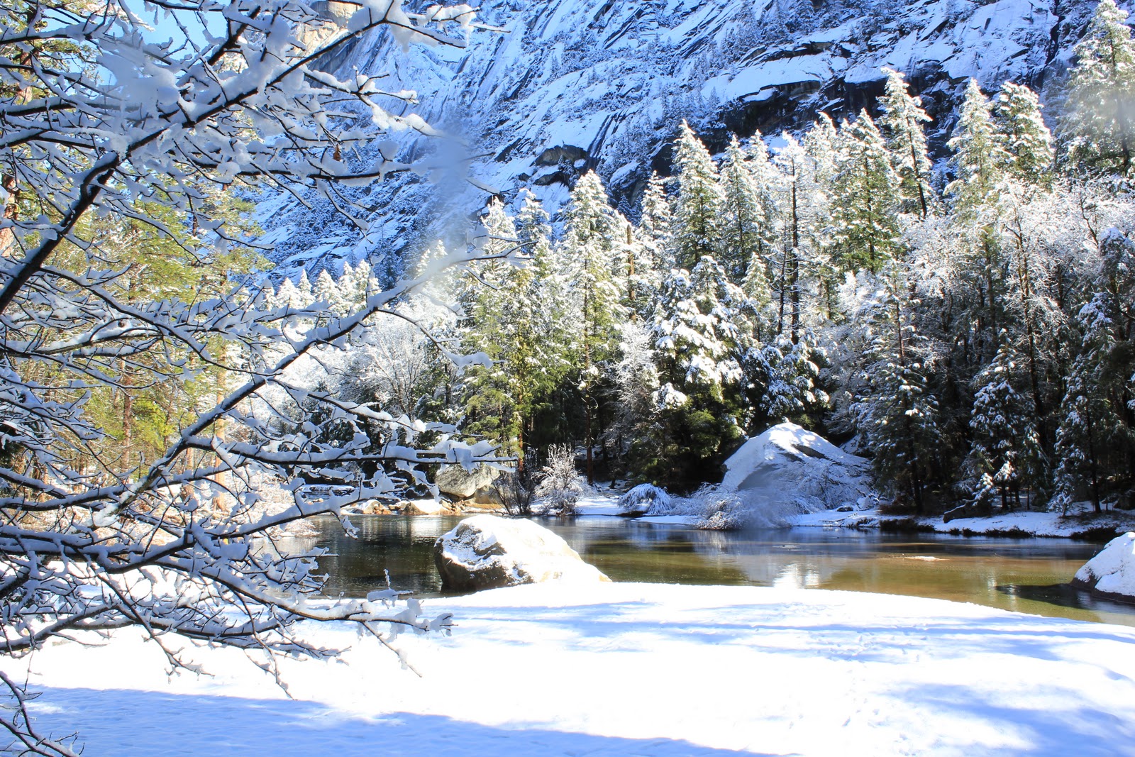Julie's Landscape Studio Christmas in Yosemite National Park