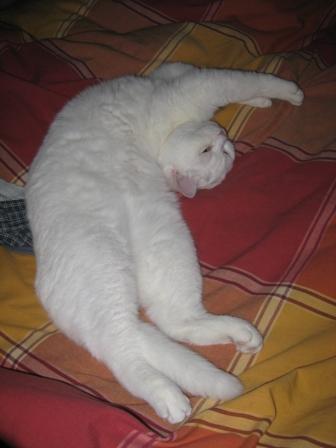 [IMG_3417.JPG]