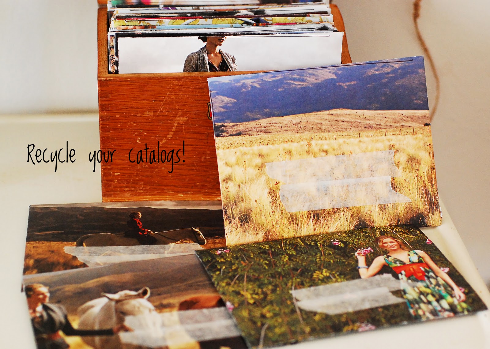 Maize Hutton Recycled Catalog Pages