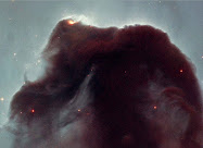 Nebulosa cabeza de Caballo