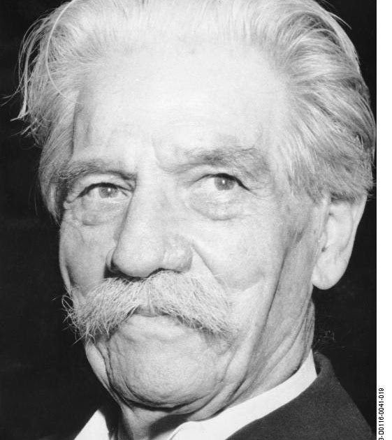 sprüche zitate albert schweitzer zitate