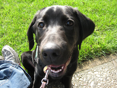 Dagan looking at the camera, smiling with his tongue just behind his top teeth, but no Taco Tongue sticking out