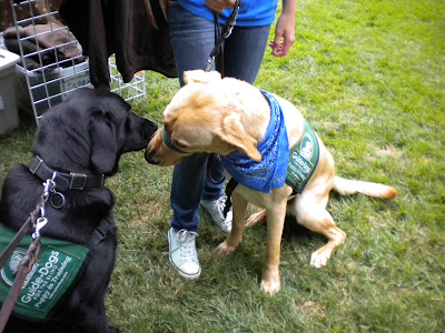 Dagan and Don sharing some kisses