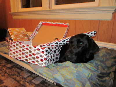Dagan lying on his bed with two wrapped shoe boxes and a roll of wrapping paper
