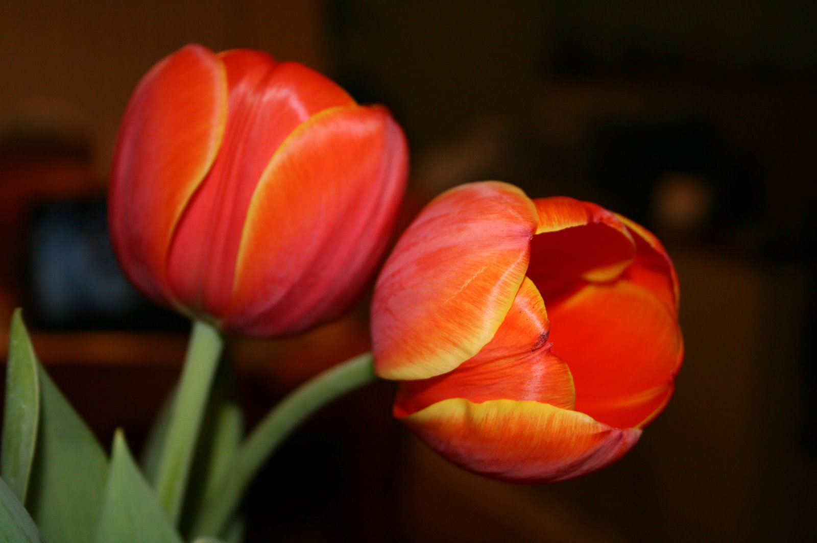 [IMG_2939.JPG]
