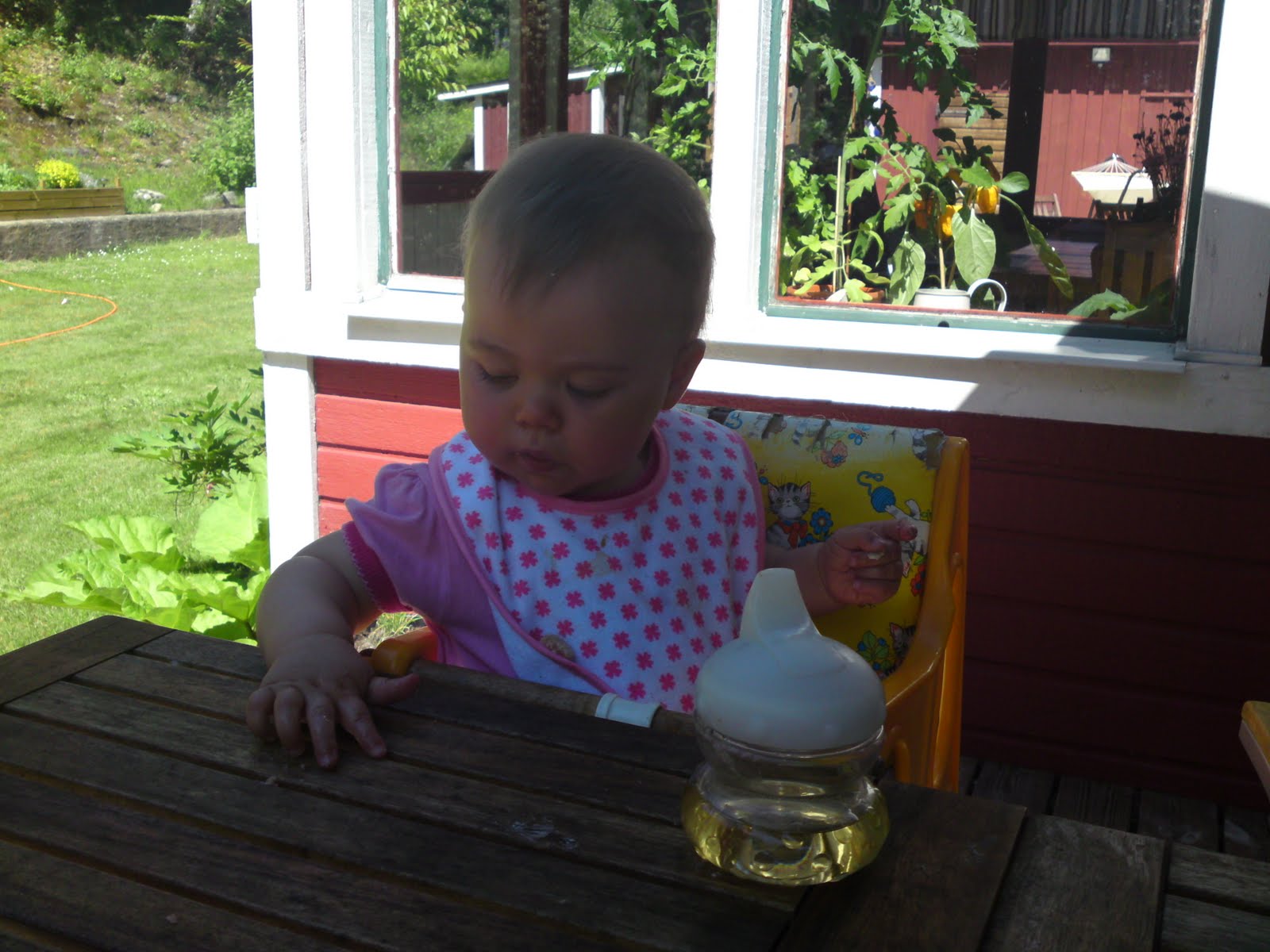 Kiwisäsong!: juni 2010