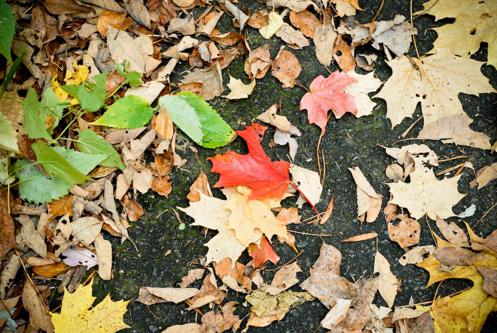 [2007-10-19+Boston+0210.jpg]