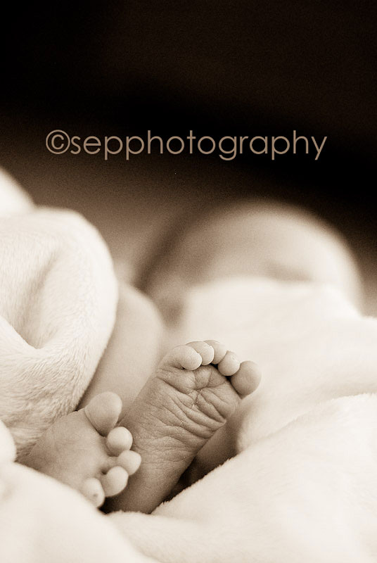 [2008-03-31+Holland+0015.jpg]