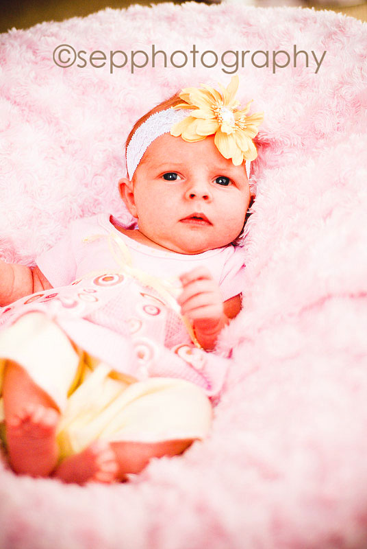 [2008-03-31+Holland+0092.jpg]