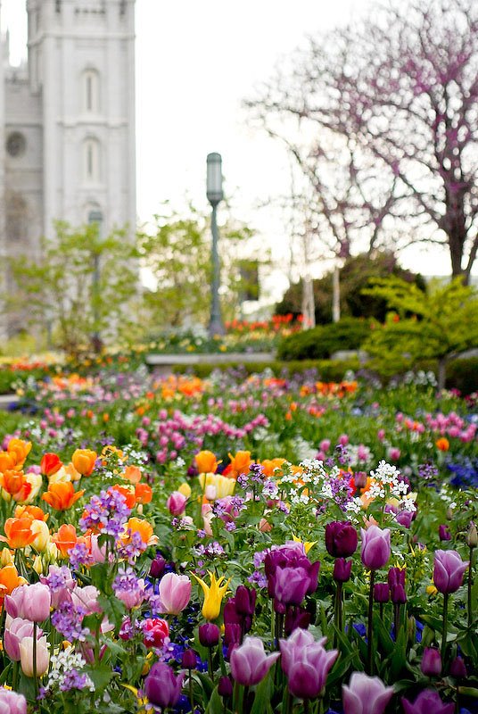 [2008-05-03+Utah+0857.jpg]