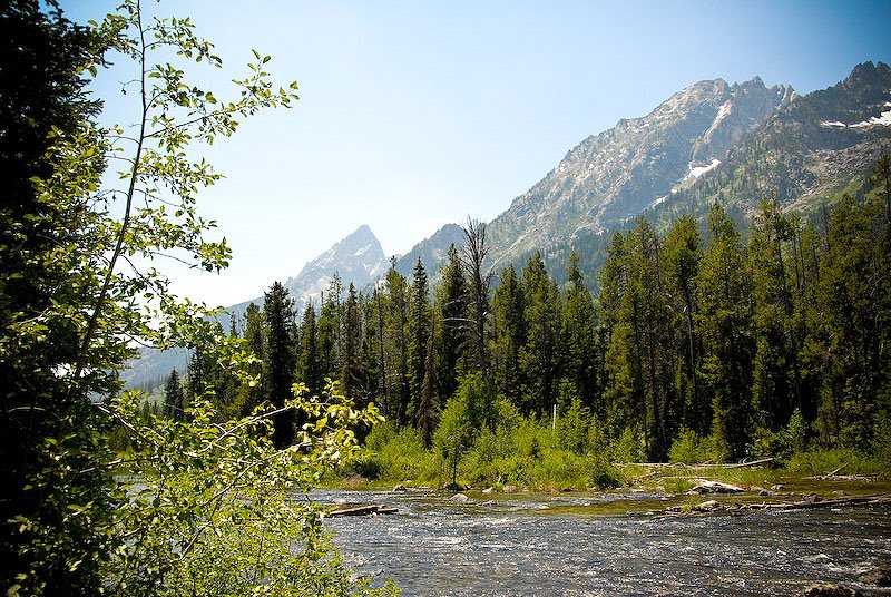 [2008-07-29+MFME+0069.jpg]