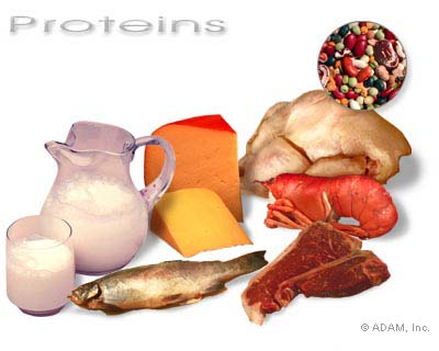 proteinas. proteinas. PROTEÍNAS