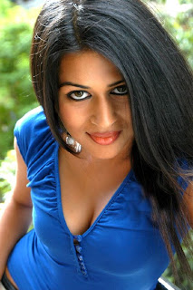 Actress Shraddha Das Hot Photos