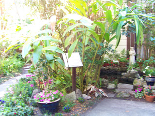 More Garden Pictures 15 Courtyard+and+Pond+Gardens+019 St. Francis Inn St. Augustine Bed and Breakfast