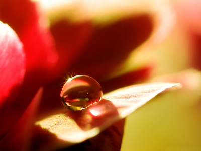wallpaper water drop. wallpaper water drop. wallpaper water drop.