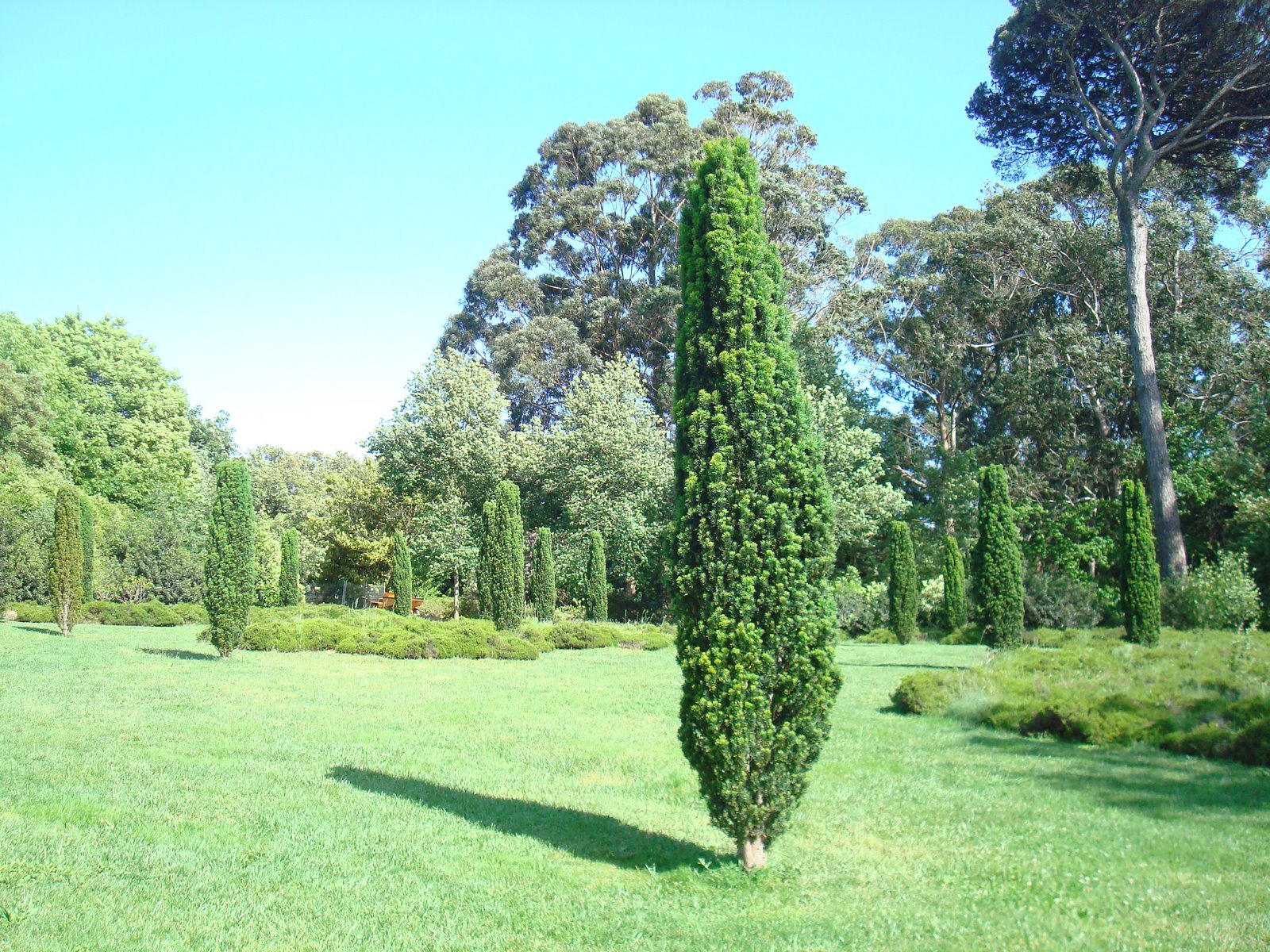 [DSC07643.JPG]